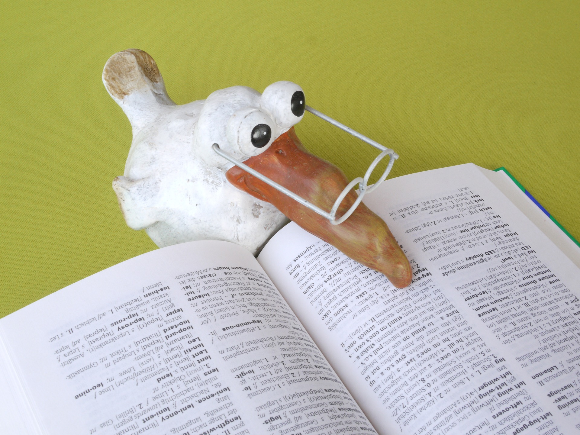 Fake duck looking in a dictionary 